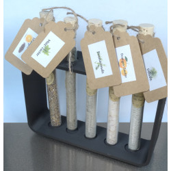 Deko- Reagenzglasständer für Gewürze oder Pflanzen